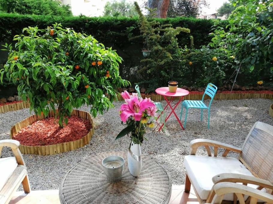 Beauvallon Plage - Magnifique T2 Avec Jardin, Proche Centre, Mer อองทีบส์ ภายนอก รูปภาพ