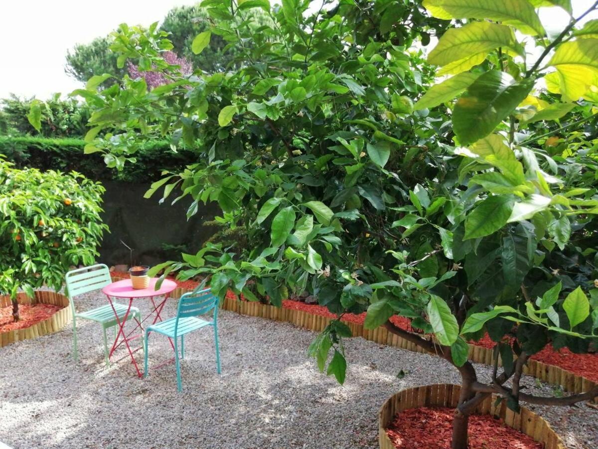 Beauvallon Plage - Magnifique T2 Avec Jardin, Proche Centre, Mer อองทีบส์ ภายนอก รูปภาพ